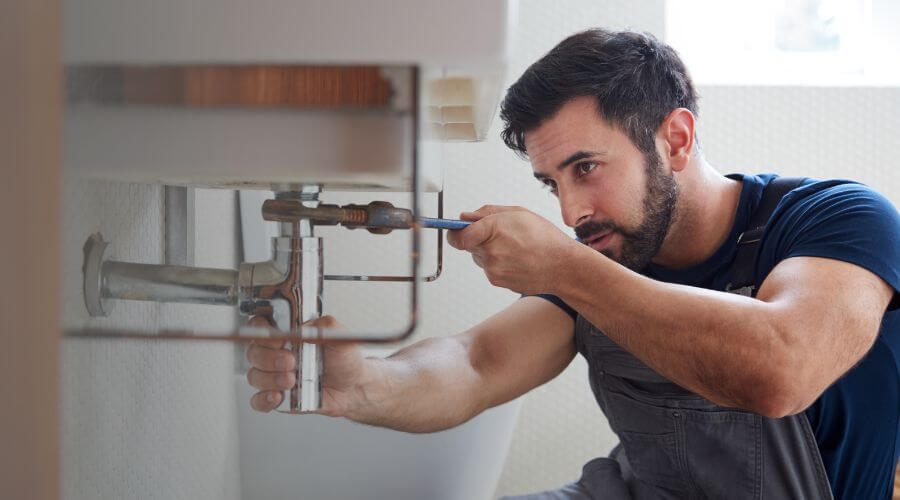 Trap Repair/Replacement in Sciota, IL